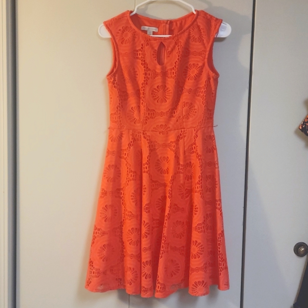 Established women's dress above knee mini orange lace A-line dress free shipping